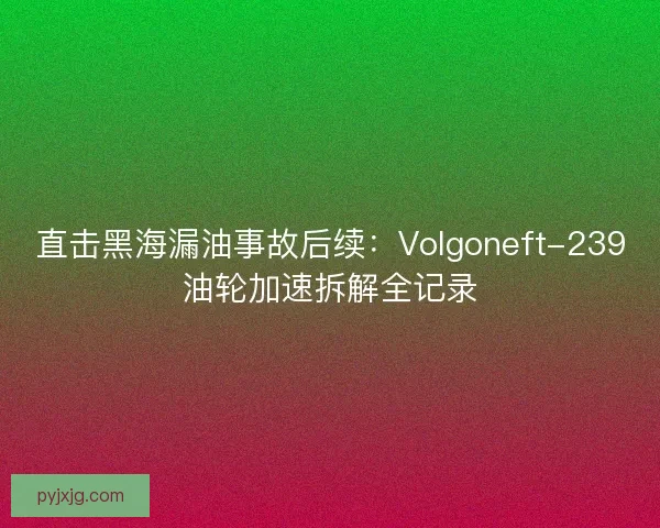 直击黑海漏油事故后续：Volgoneft-239油轮加速拆解全记录