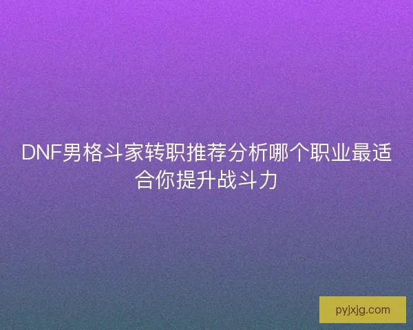 DNF男格斗家转职推荐分析哪个职业最适合你提升战斗力