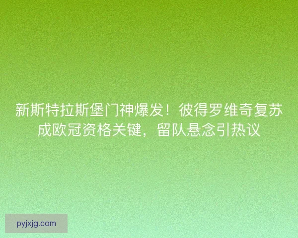 新斯特拉斯堡门神爆发！彼得罗维奇复苏成欧冠资格关键，留队悬念引热议
